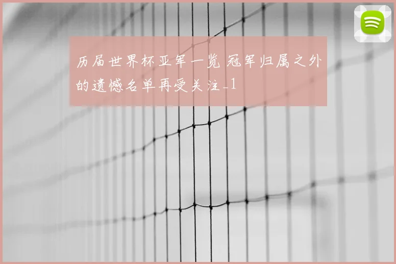 历届世界杯亚军一览 冠军归属之外的遗憾名单再受关注_1