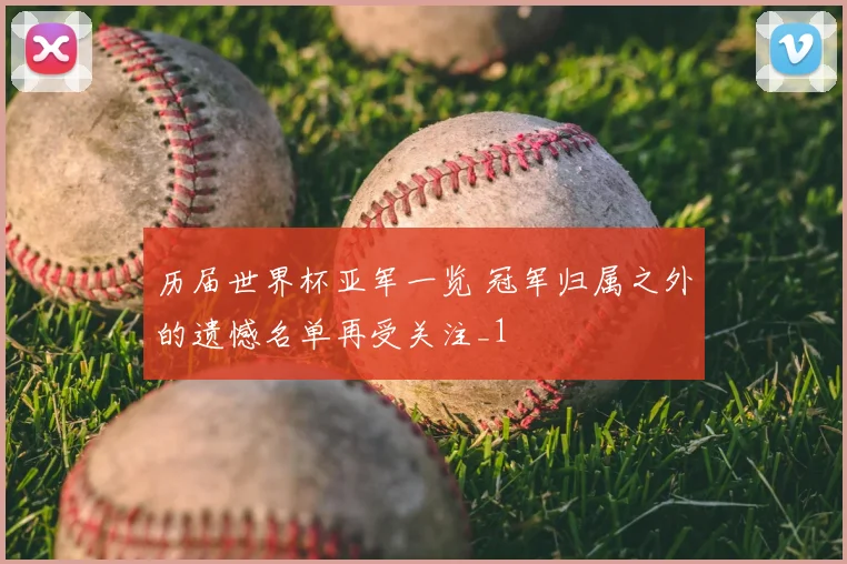 历届世界杯亚军一览 冠军归属之外的遗憾名单再受关注_1