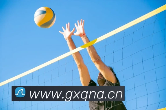 爱游戏ayx官方网页 - 爱游戏(中国)APP 封面图